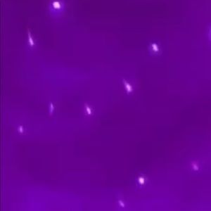 Custom Jacket + Blue Sunnies